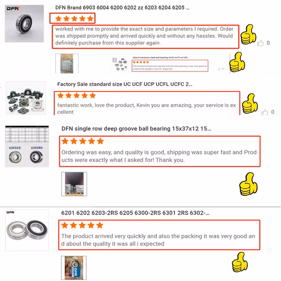 Rillenkugellager 6009 6010 6013 6002 6016 6006 6014 6017 6008 6004 Zz 2RS Rillenkugellager